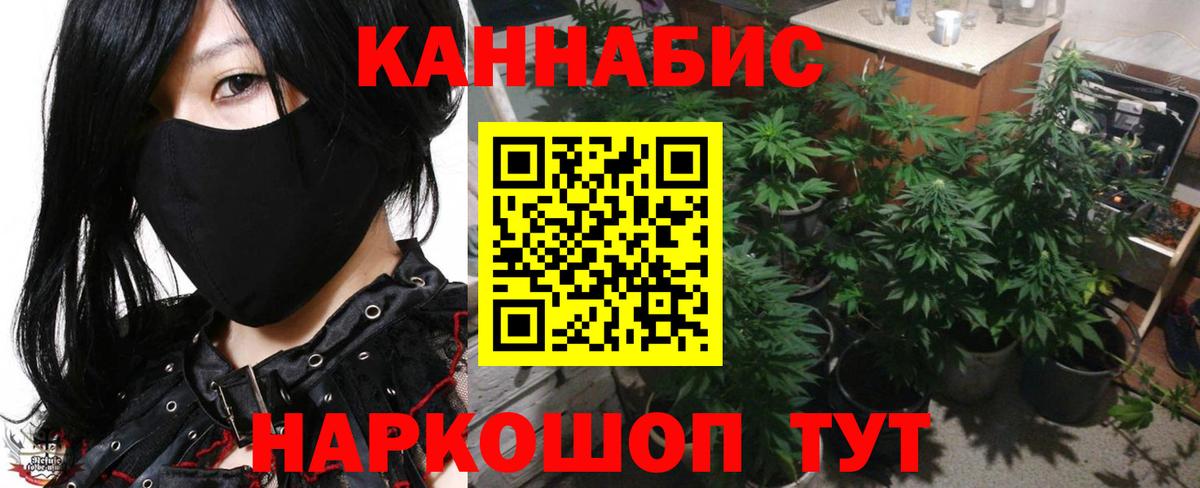 Кызыл  Бошки Шишки планчик  Марихуана White Widow  Вход с VPN 